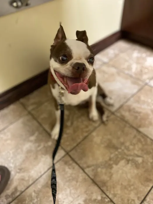 Blue Cross Animal Hospital Picture 4