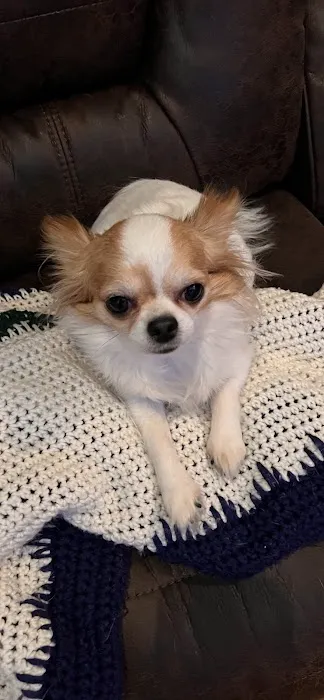 Blue Cross Animal Hospital Picture 10