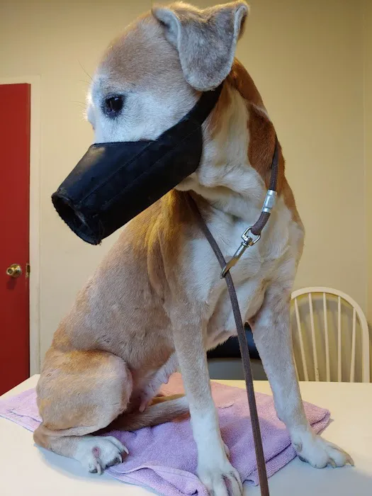 Mission Vet Clinic Picture 1