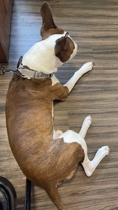 Mission Vet Clinic Picture 8