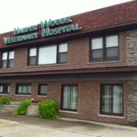 Harper Woods Veterinary Hospital ico
