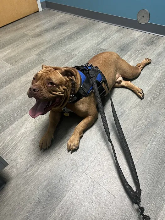 APAWS Veterinary Hospital Picture 1