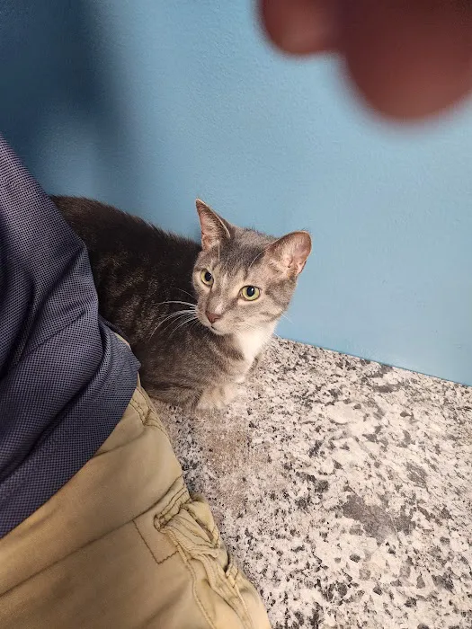 APAWS Veterinary Hospital Picture 3