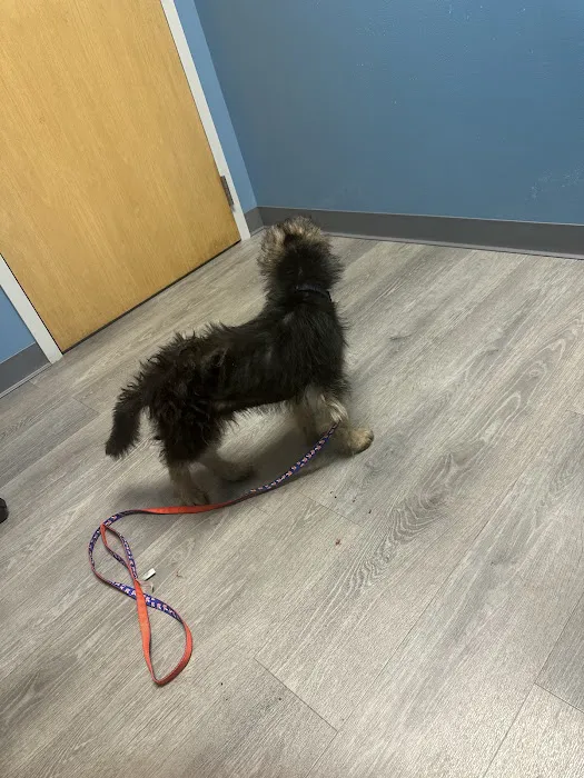 APAWS Veterinary Hospital Picture 2