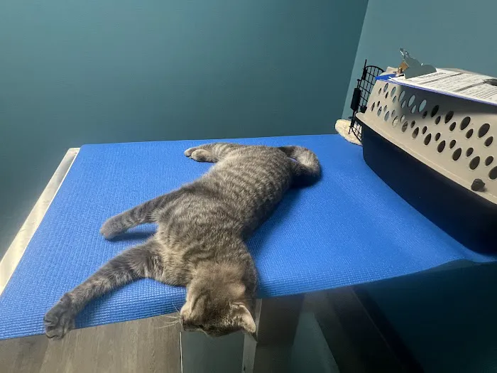 APAWS Veterinary Hospital Picture 4