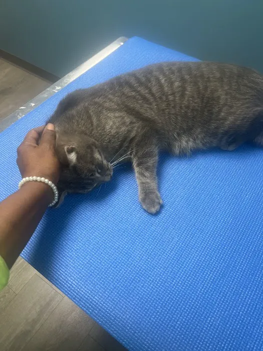 APAWS Veterinary Hospital Picture 6
