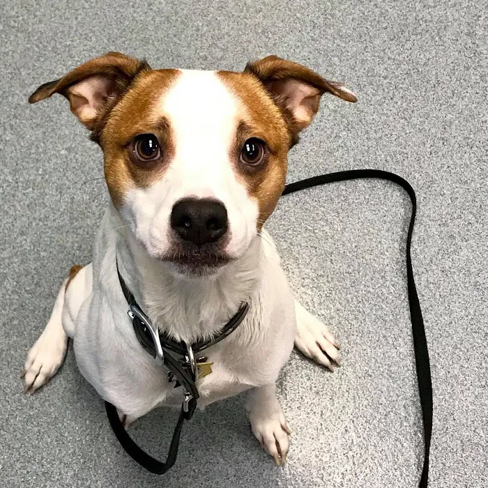 Moore Veterinary Hospital Picture 2
