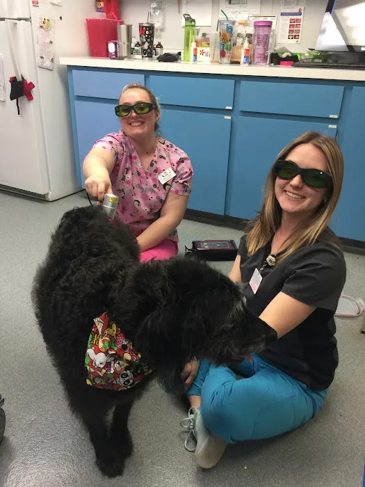 Moore Veterinary Hospital Picture 4