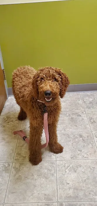 Moore Veterinary Hospital Picture 10