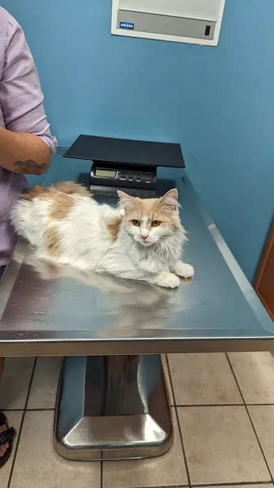 Eastpointe Animal Hospital Picture 4