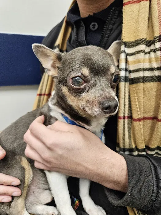 Eastpointe Animal Hospital Picture 8