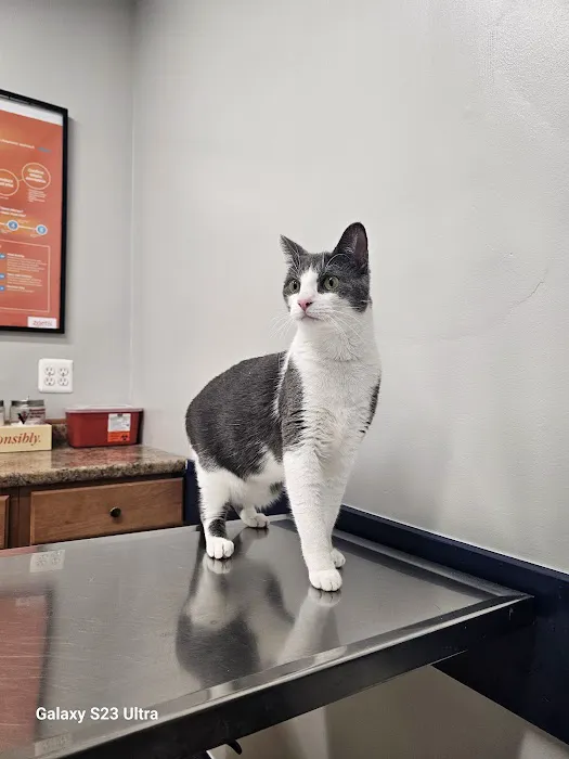 Eastpointe Animal Hospital Picture 9