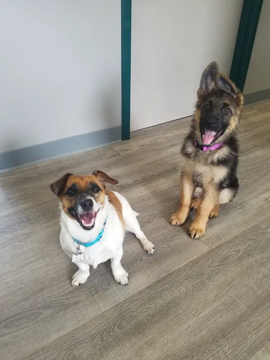 East Detroit Animal Hospital Picture 7