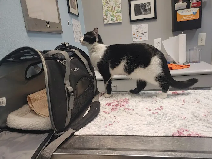 VCA St. Clair Shores Animal Hospital Picture 1