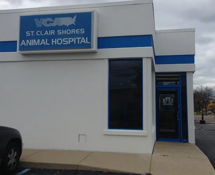 VCA St. Clair Shores Animal Hospital Picture 3