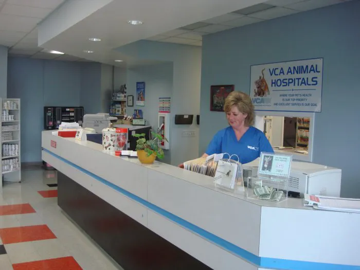 VCA St. Clair Shores Animal Hospital Picture 5
