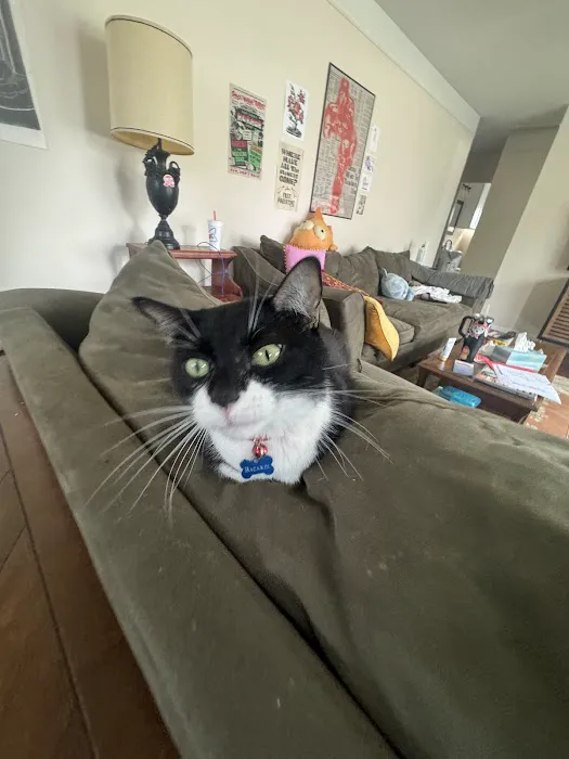 Poppy Hill Vet Picture 2