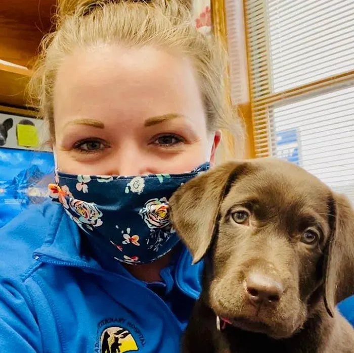 Madison Veterinary Hospital Picture 2