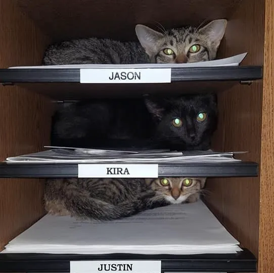 Madison Veterinary Hospital Picture 7
