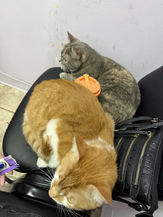 Luv-N-Care Animal Hospital Picture 1