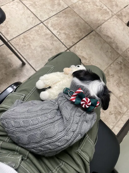 Luv-N-Care Animal Hospital Picture 7