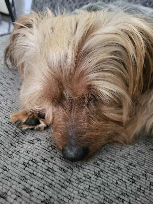 Luv-N-Care Animal Hospital Picture 8