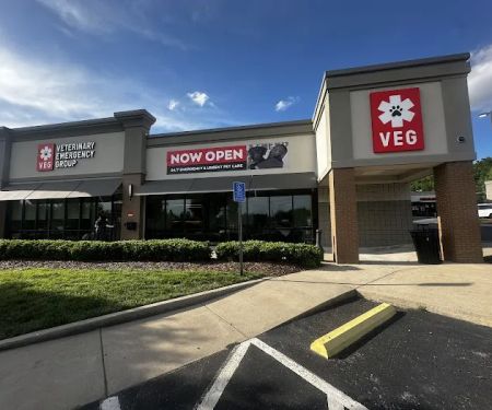 Veterinary Emergency Group