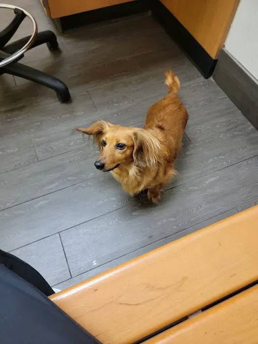 Banfield Pet Hospital Picture 1
