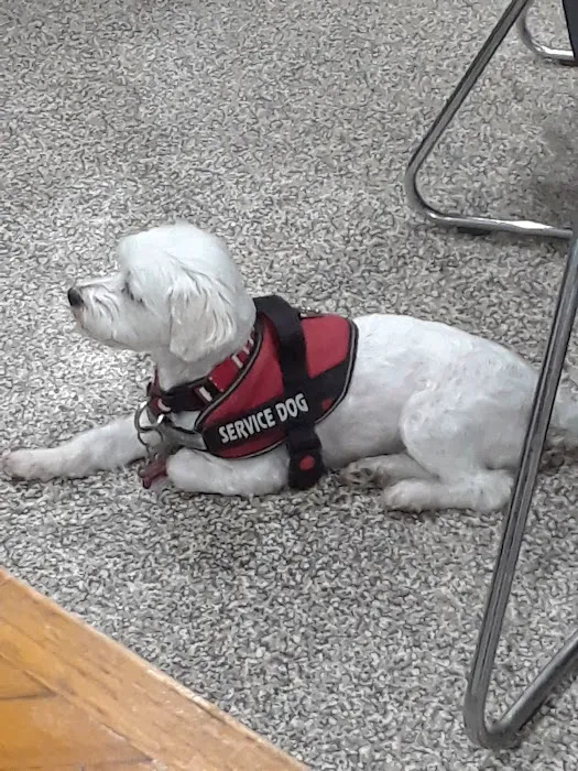 Banfield Pet Hospital Picture 7