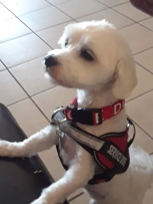 Banfield Pet Hospital Picture 6