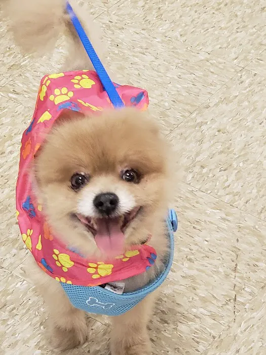 Banfield Pet Hospital Picture 10