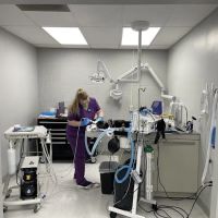Harding Animal Hospital ico