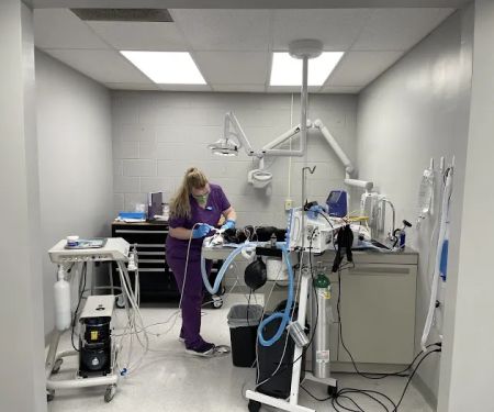 Harding Animal Hospital