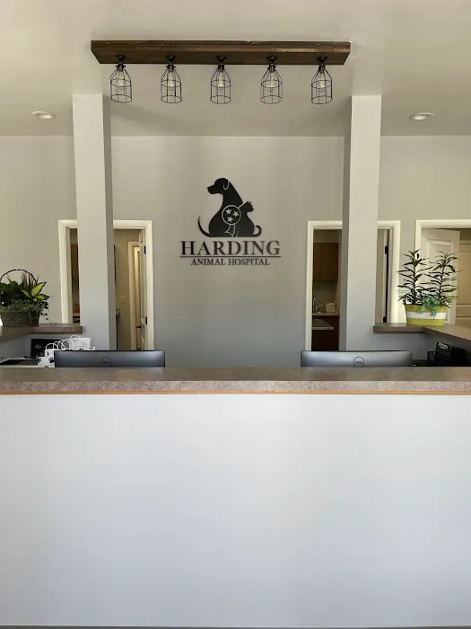 Harding Animal Hospital Picture 7