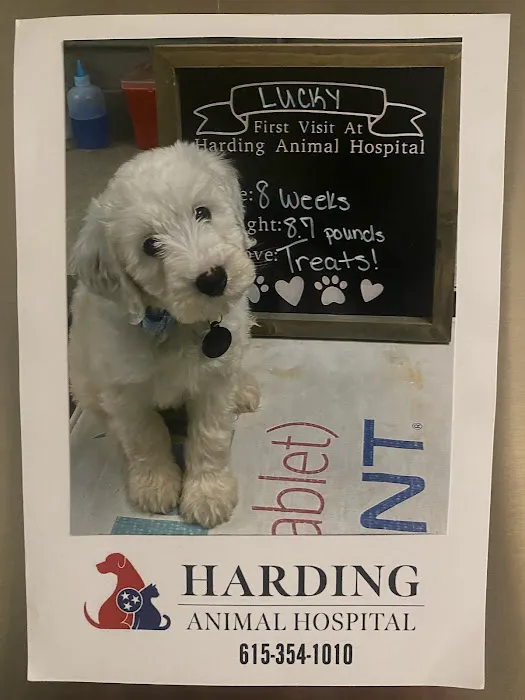 Harding Animal Hospital Picture 9