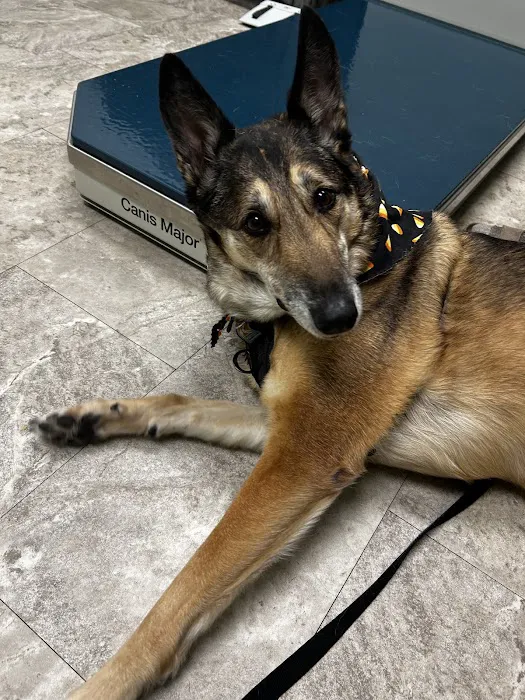 Spartan Veterinary Clinic Picture 9