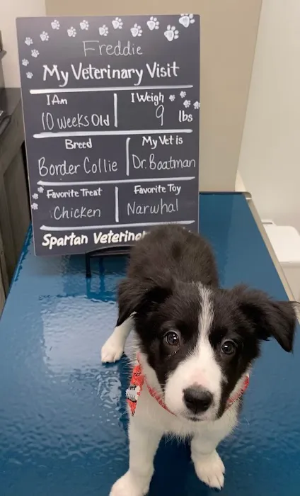 Spartan Veterinary Clinic Picture 10
