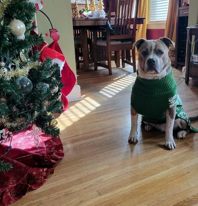 Belle Meade Animal Hospital Picture 2