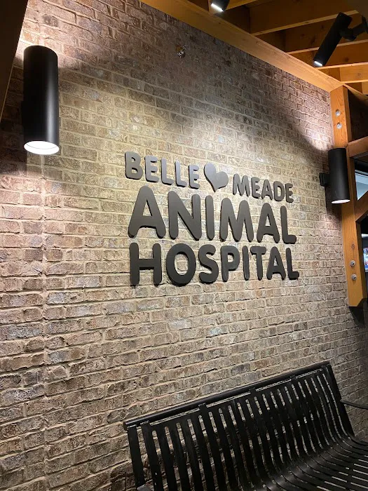 Belle Meade Animal Hospital Picture 3