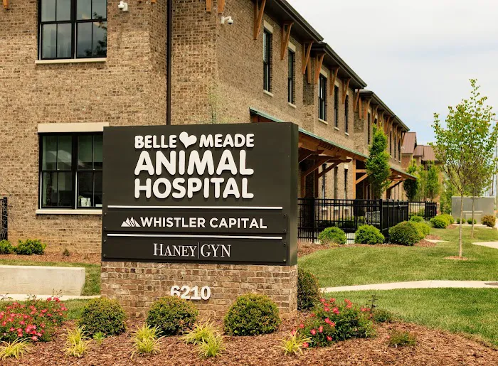 Belle Meade Animal Hospital Picture 1