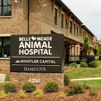 Belle Meade Animal Hospital ico