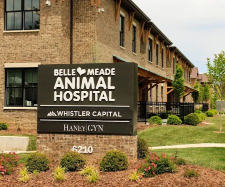 Belle Meade Animal Hospital