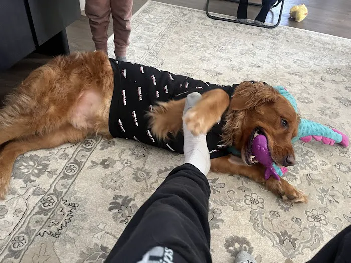Belle Meade Animal Hospital Picture 8