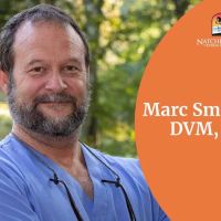 Natchez Trace Veterinary Services - Clinic & Holistic Telemedicine ico