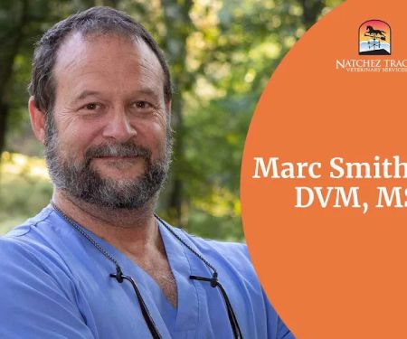 Natchez Trace Veterinary Services - Clinic & Holistic Telemedicine