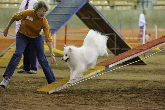 Natchez Trace Veterinary Services - Clinic & Holistic Telemedicine Picture 2