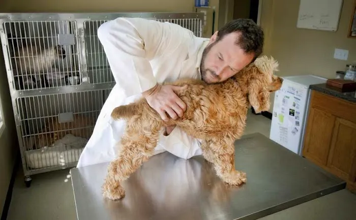 Natchez Trace Veterinary Services - Clinic & Holistic Telemedicine Picture 4