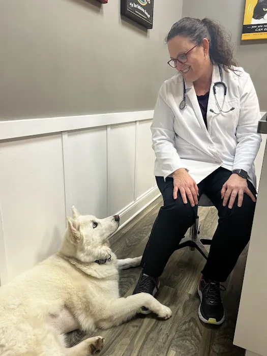 Veterinary Behavior Solutions Picture 3