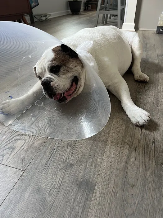 Emberton House Call Veterinary Clinic Picture 3