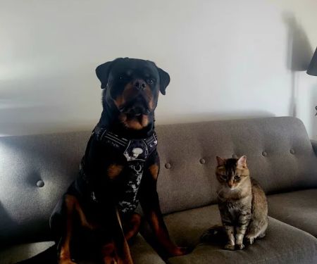 Madison Veterinary Clinic